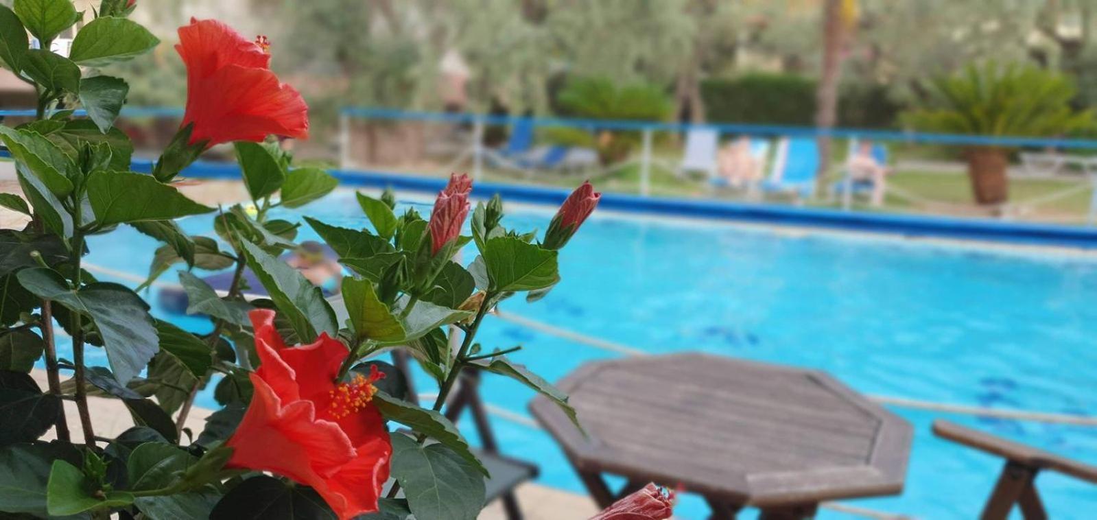 Tsigoura Verde Resort Mikros Prinos Eksteriør billede